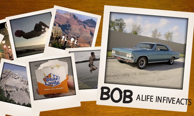 Bob_wide.jpg