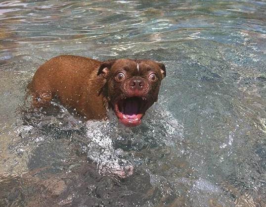 water.jpg