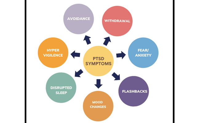 PTSD Symptoms PTSD Symptoms include: avoidance, withdrawal, fear/anxiety, flashbacks, mood changes, disrupted sleep, and hypervigilance.