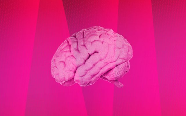 300 Paintings A stylized photograph of a brain over a background of varying shades of pink.